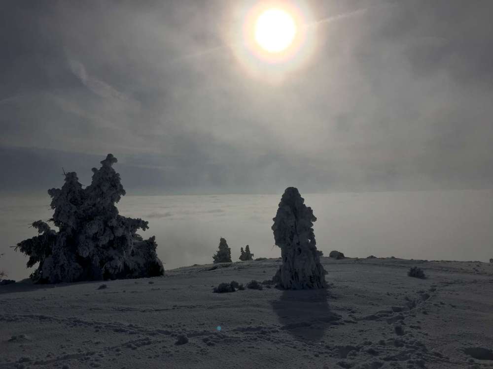 20170212_084431560_ios-2048