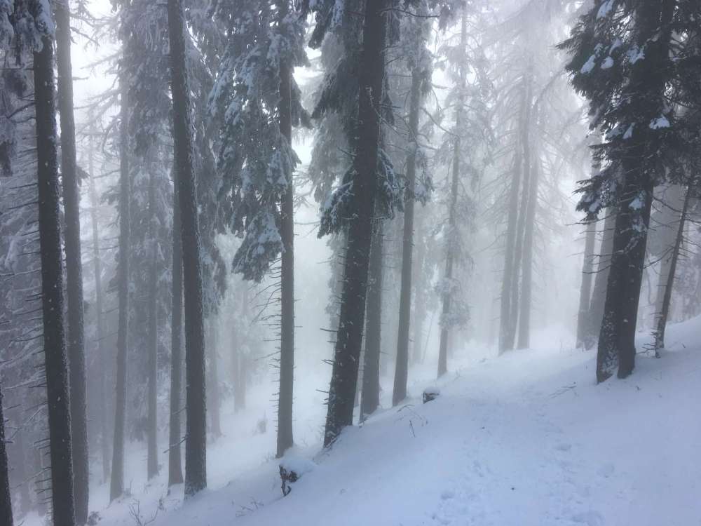 20170212_090003595_ios-2048