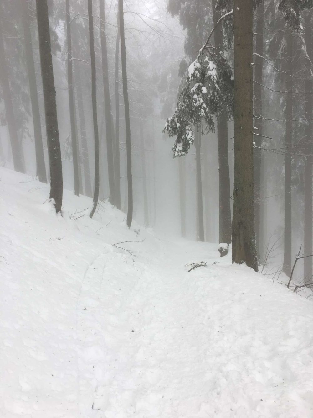 20170212_090359062_ios-2048