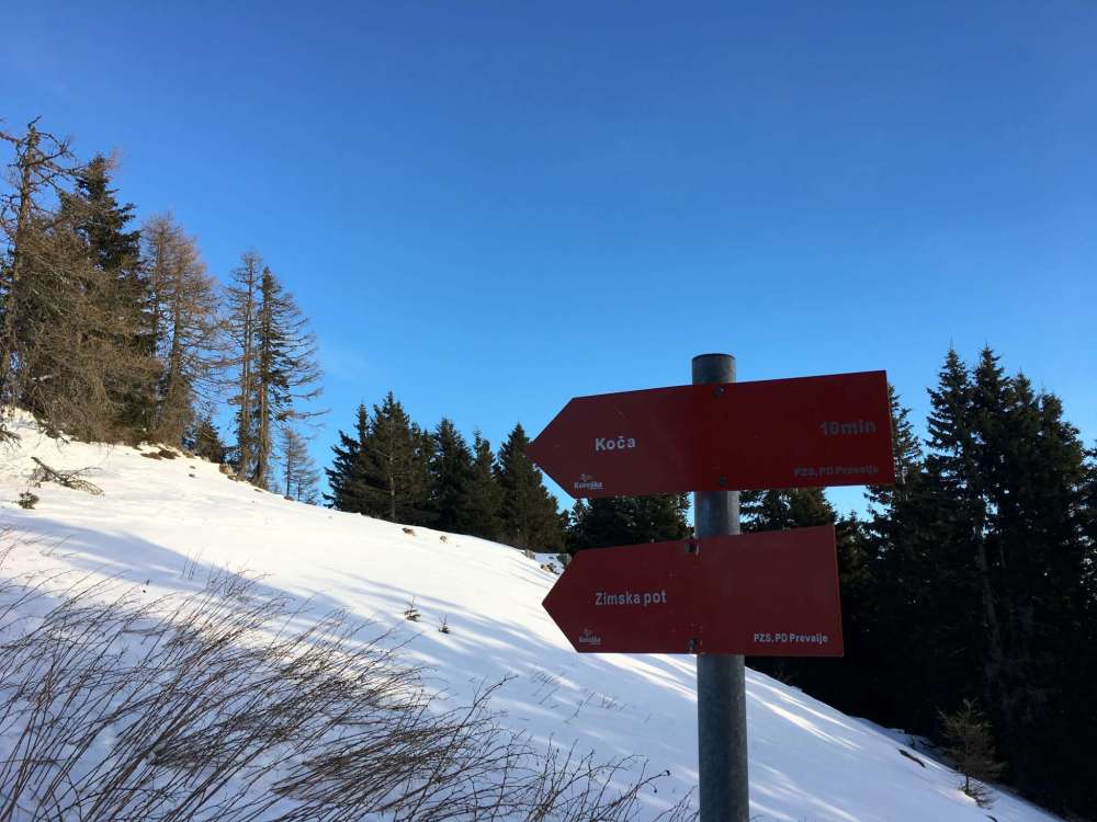 20170216_153414636_ios-2048