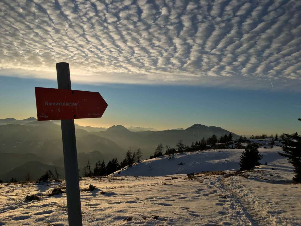 20170216_155957738_ios-2048