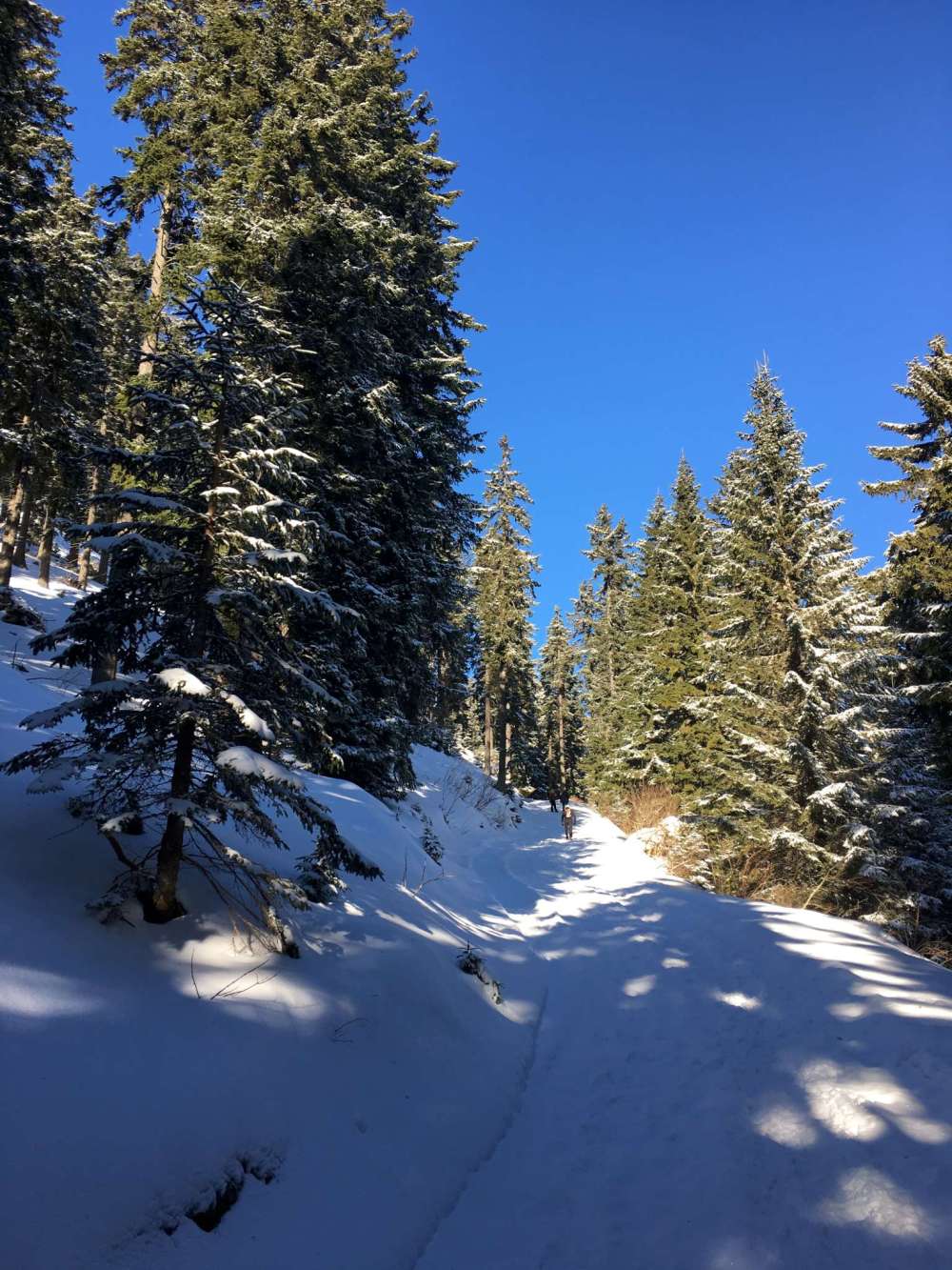 20170218_080219737_ios-2048