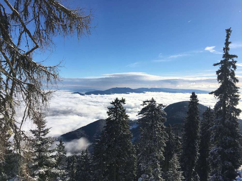 20170218_081123551_ios-2048