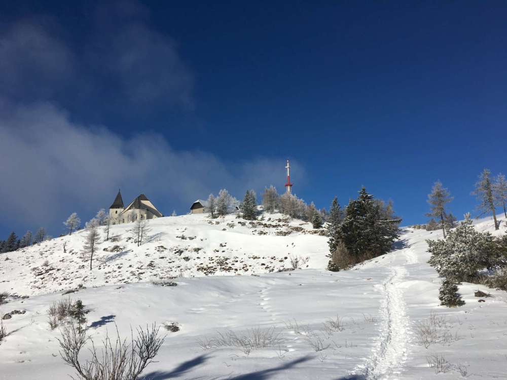 20170218_081735091_ios-2048