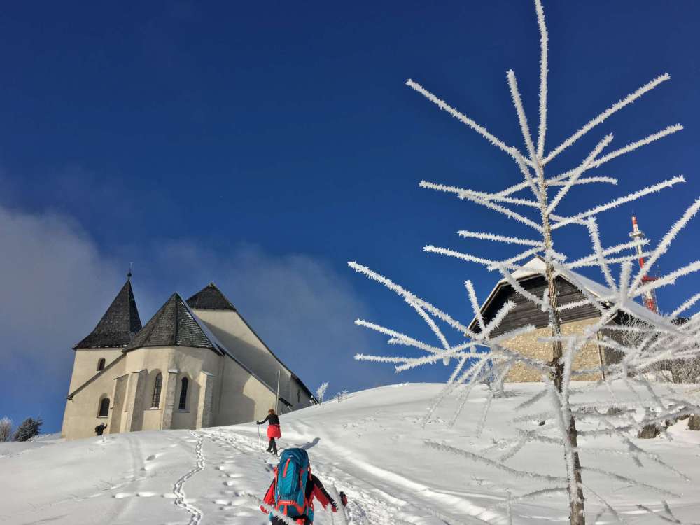 20170218_082040994_ios-2048