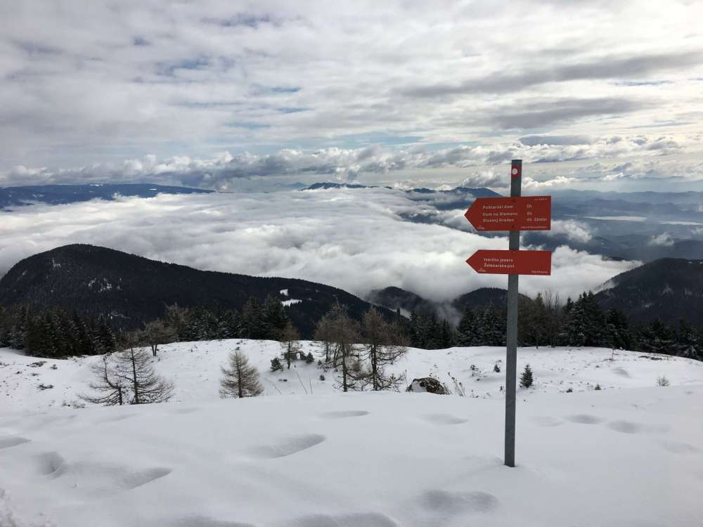 20170218_104303186_ios-2048