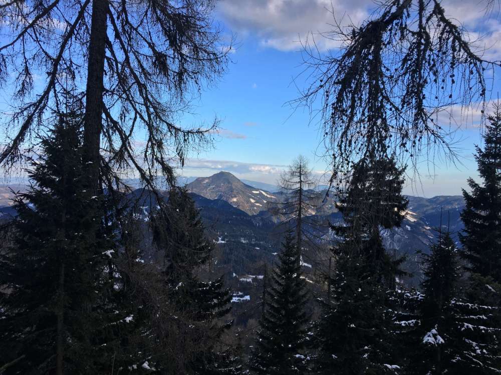 20170220_145049779_ios-2048