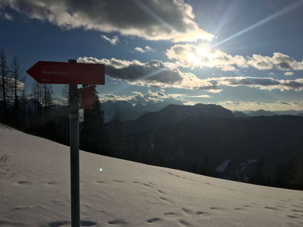 20170220_151059312_ios-2048