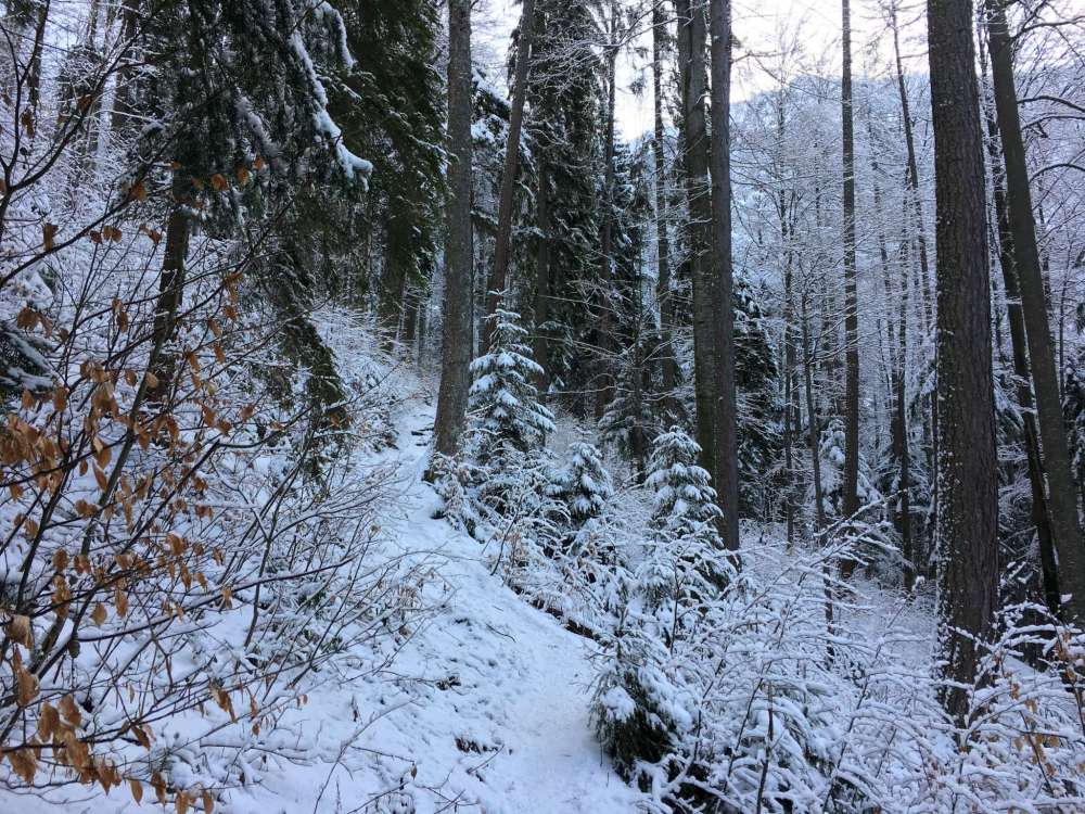 20170225_133520392_ios-2048