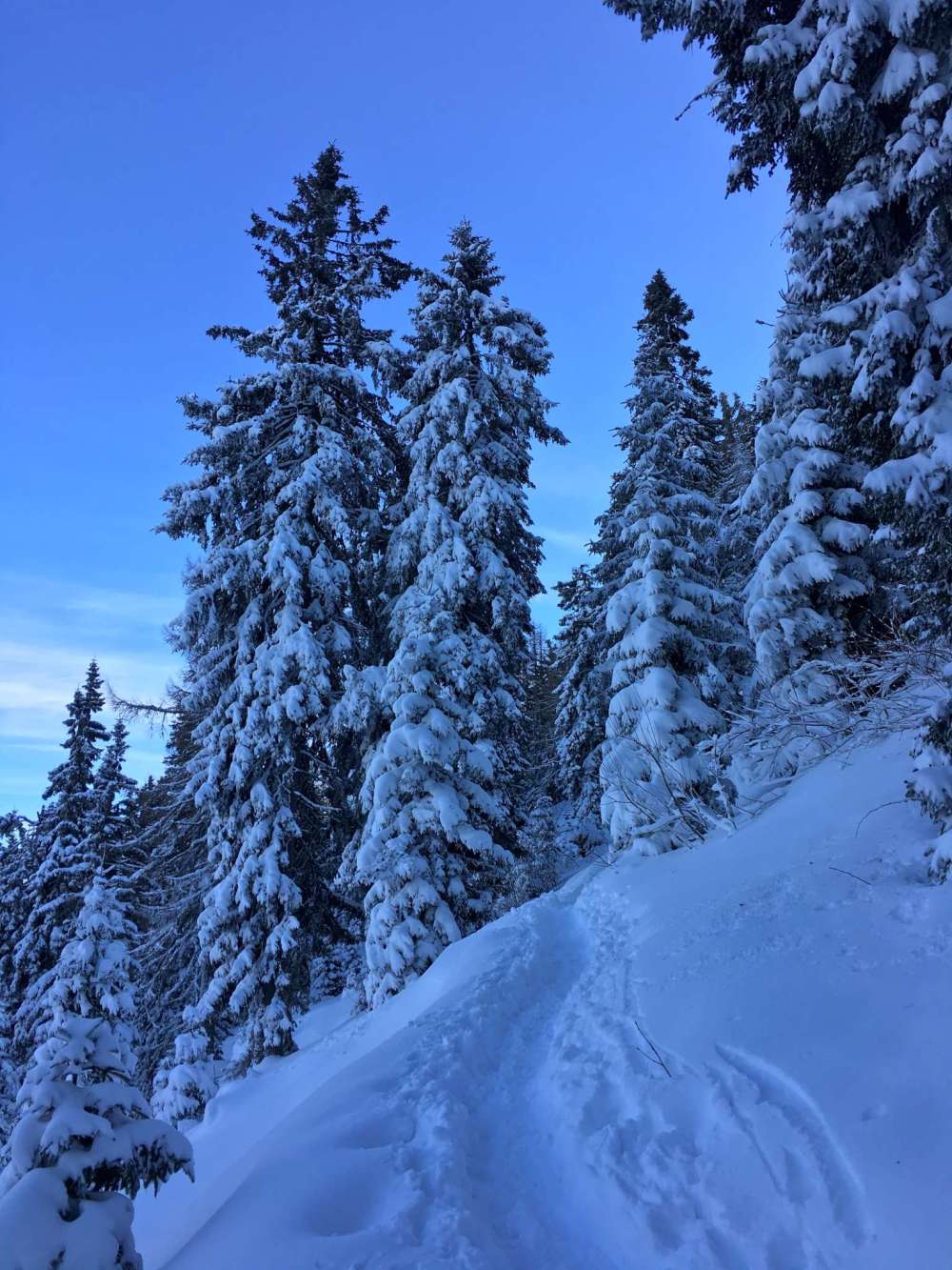 20170225_142229915_ios-2048