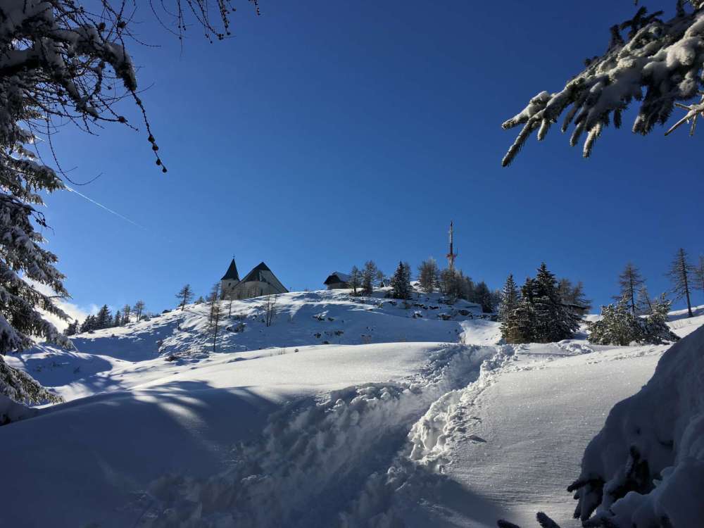 20170225_142808160_ios-2048