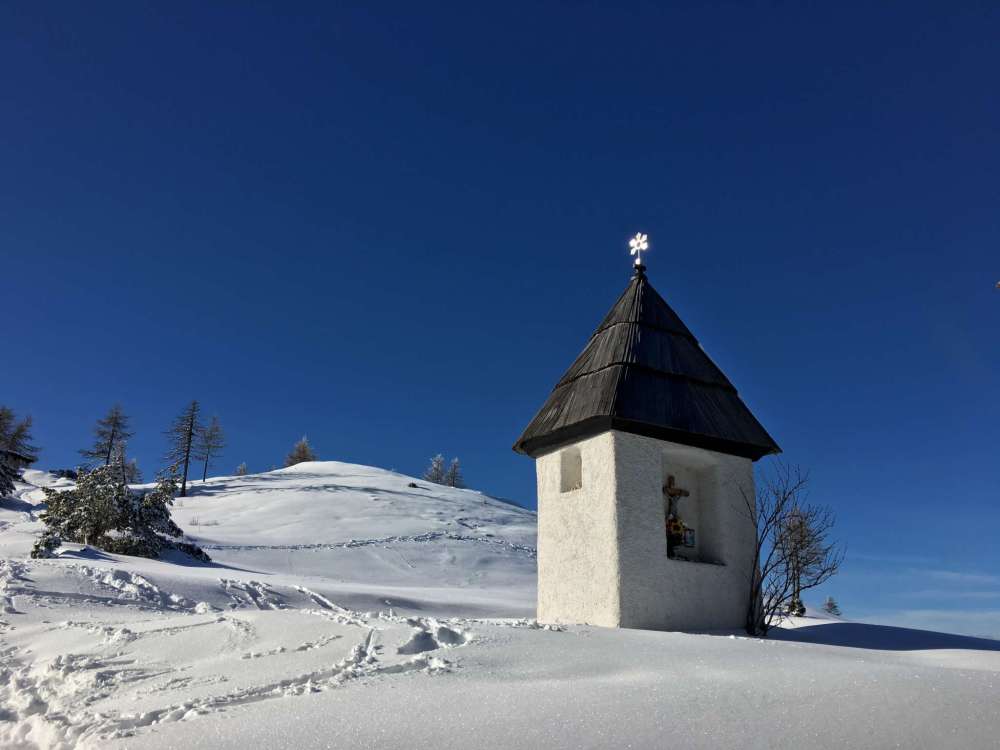 20170225_142815632_ios-2048