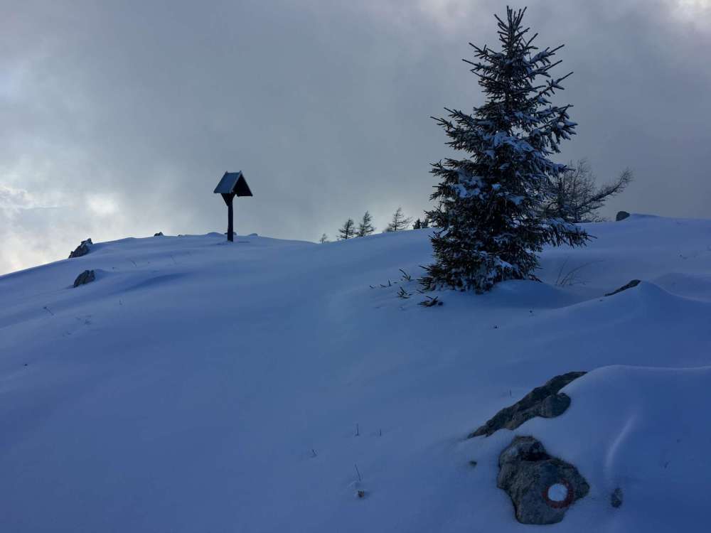 20170225_145513179_ios-2048