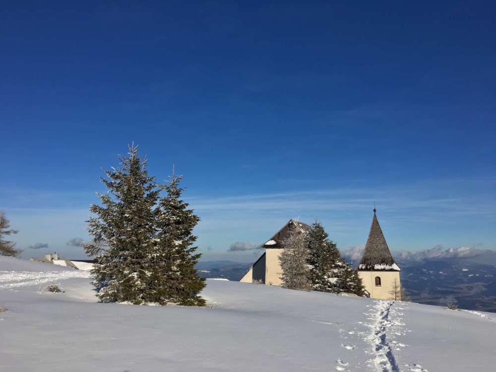 20170225_150228029_ios-2048