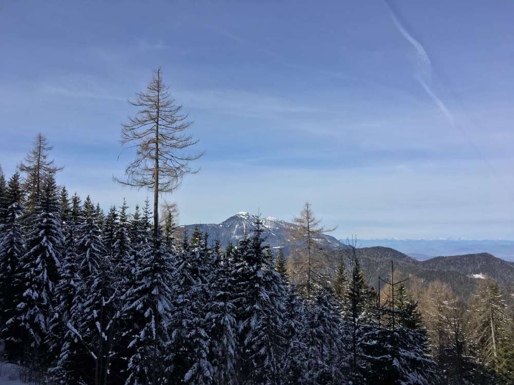 20170226_094537078_ios-2048