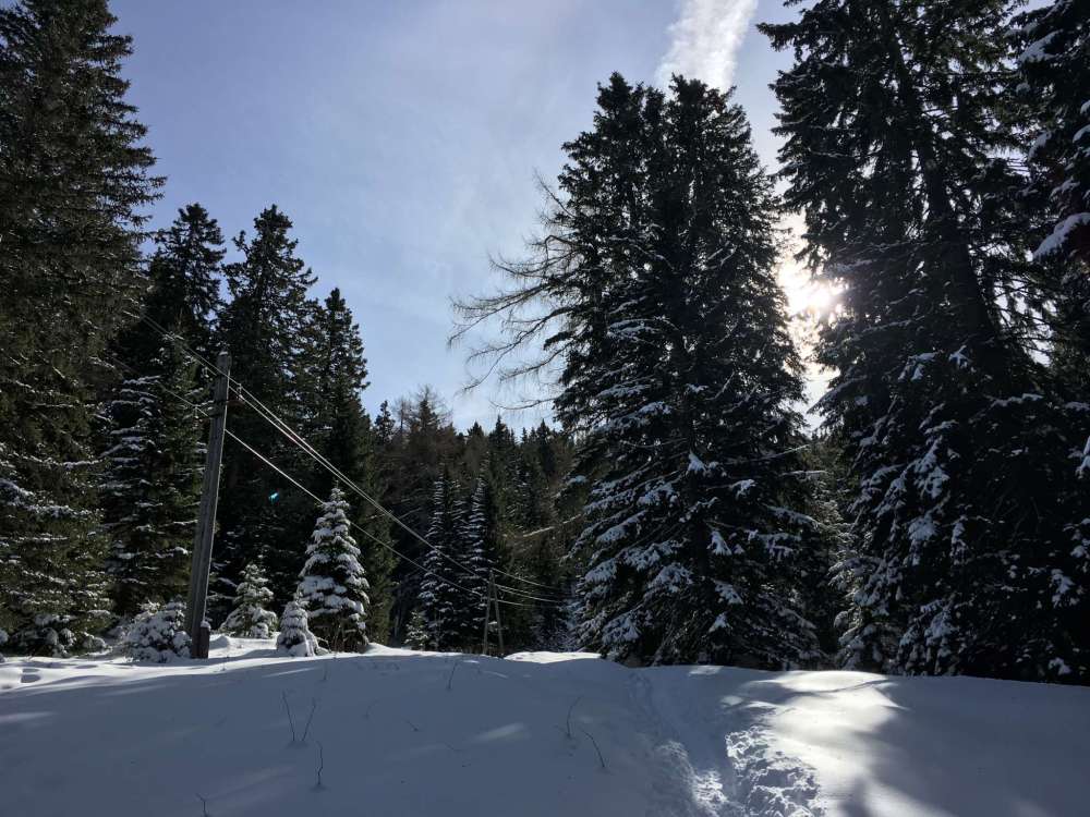 20170226_100338139_ios-2048