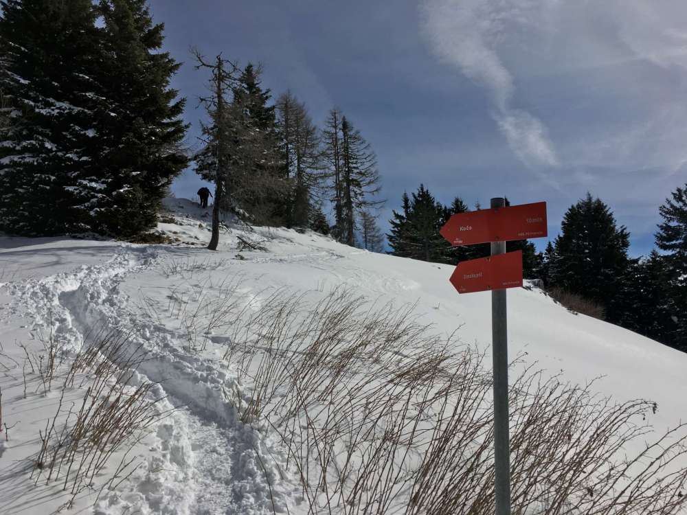 20170226_102158589_ios-2048