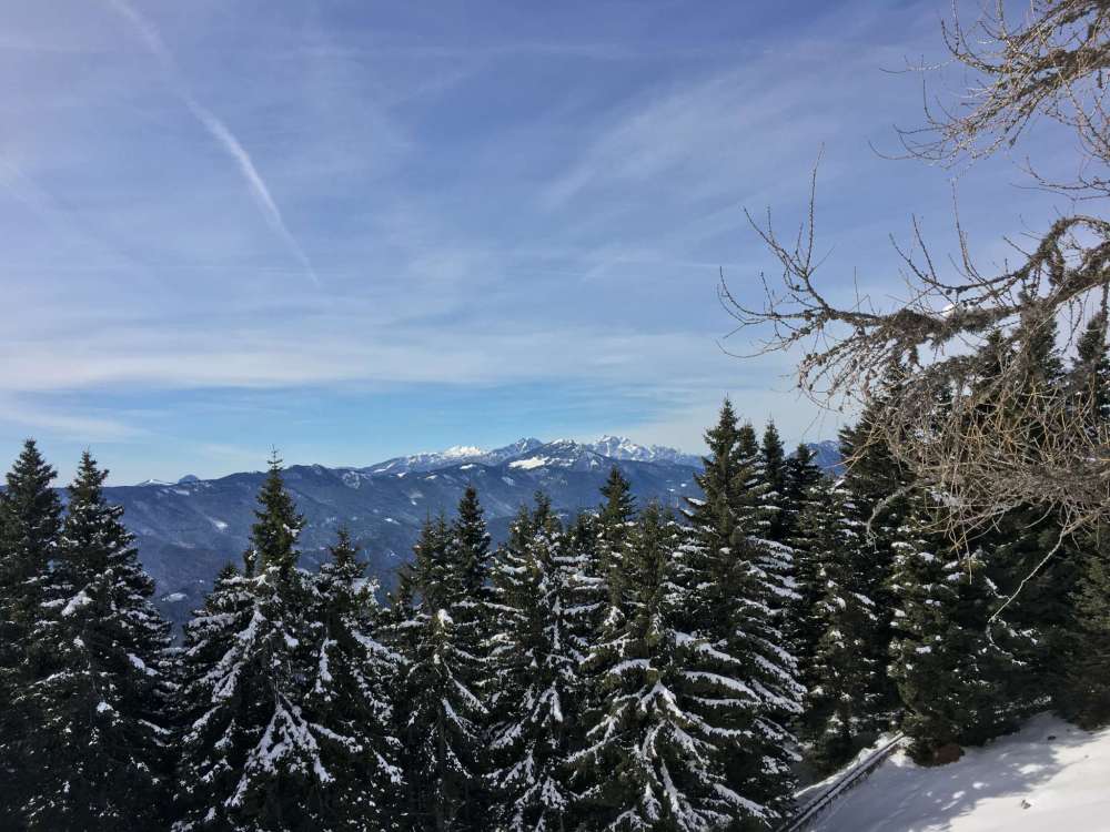 20170226_102243489_ios-2048