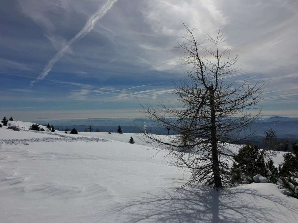 20170226_102807594_ios-2048