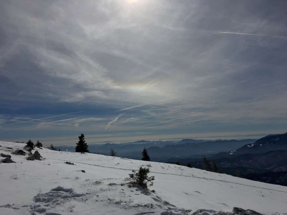 20170226_103432498_ios-2048