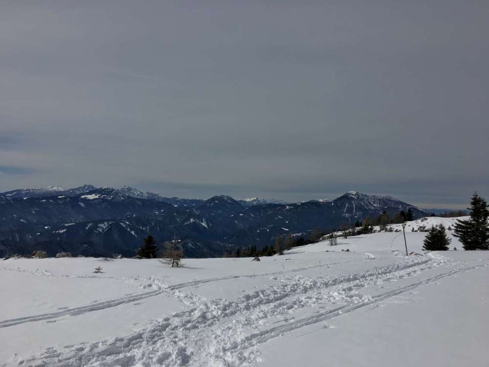 20170226_112241571_ios-2048