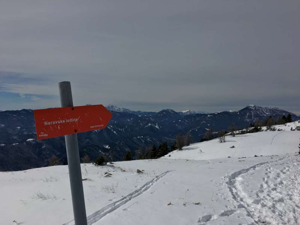 20170226_112307691_ios-2048