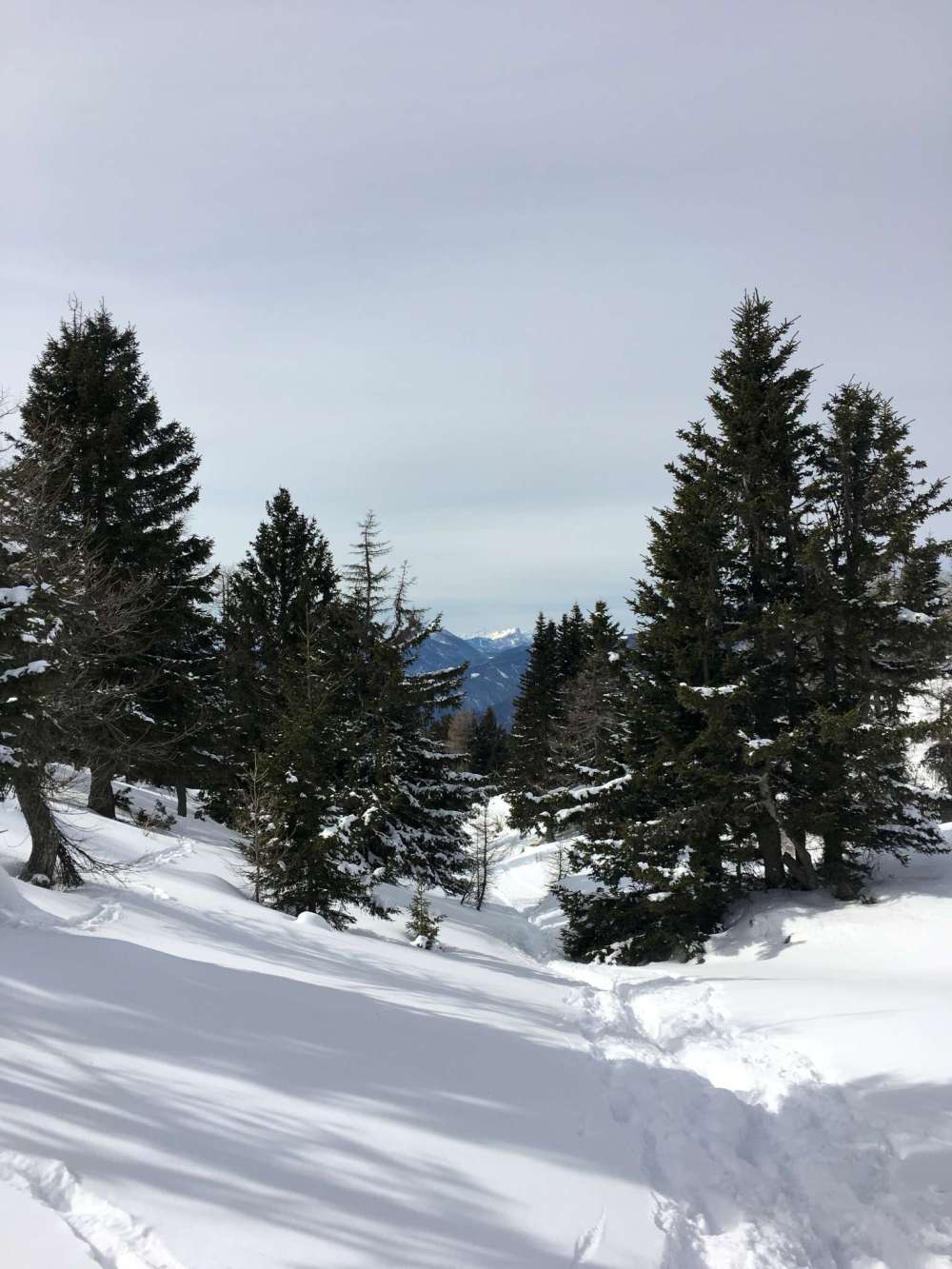 20170226_112629010_ios-2048