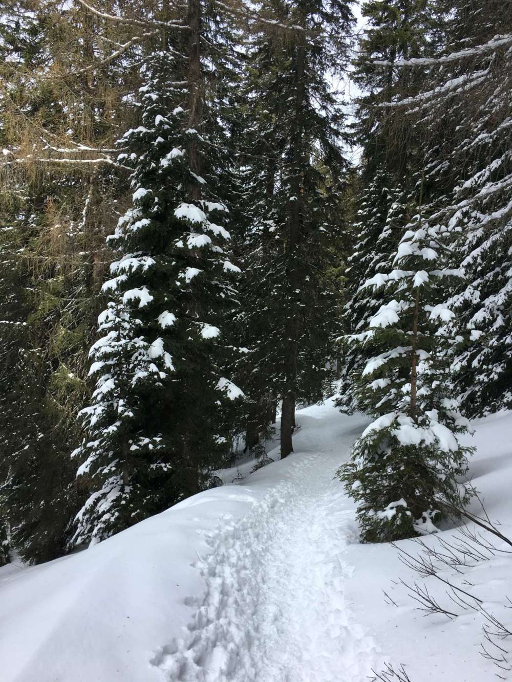 20170226_113646024_ios-2048