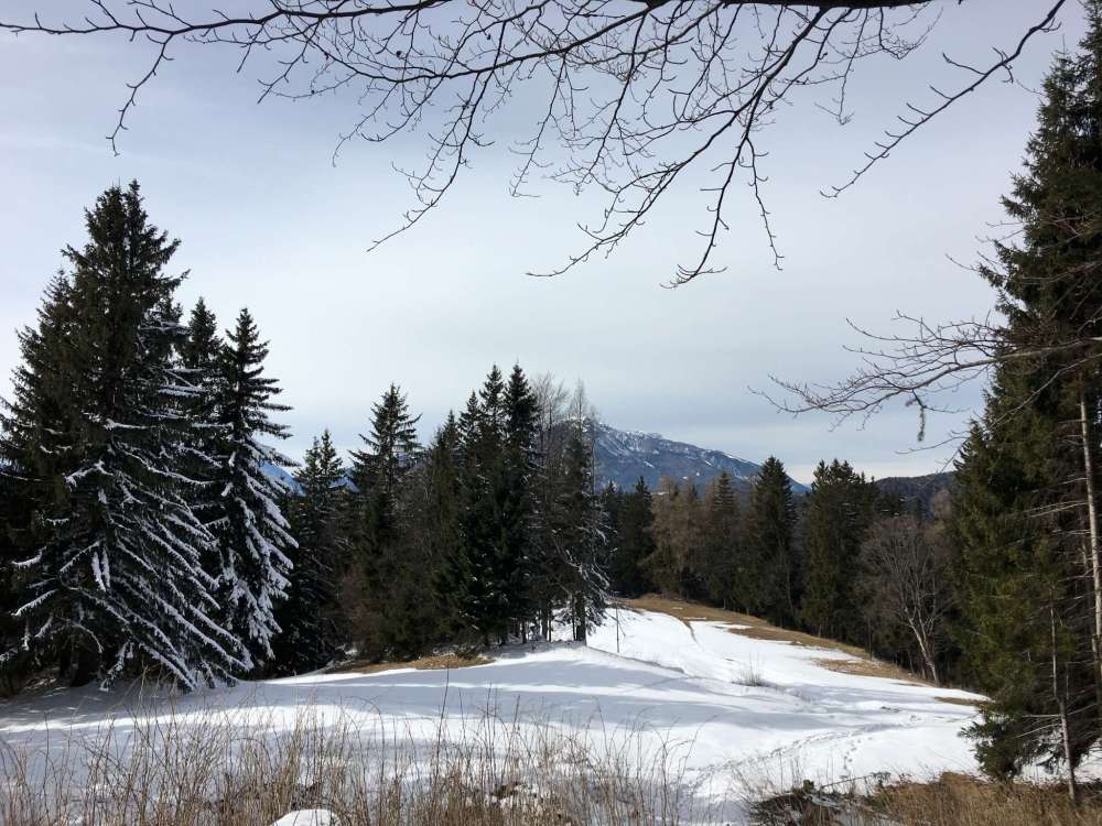 20170226_120237075_ios-2048