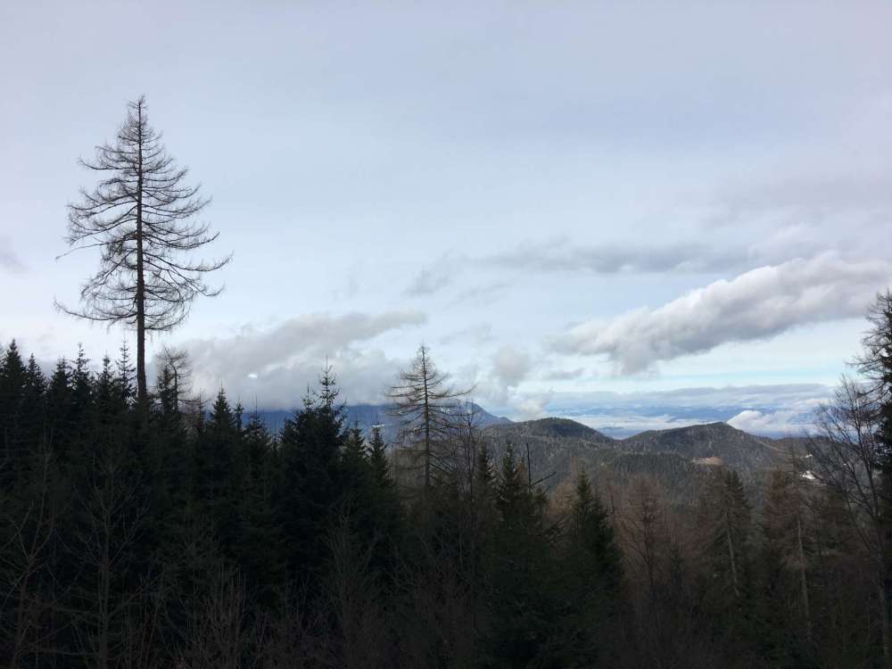 20170305_082940238_ios-2048