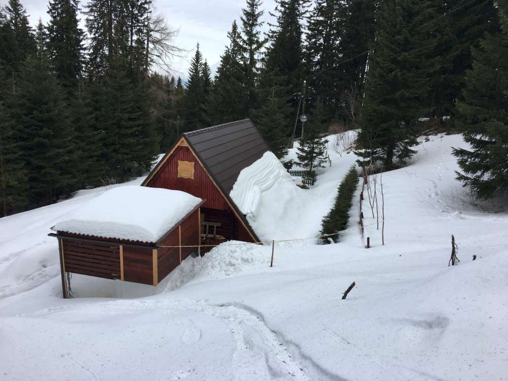 20170305_085356876_ios-2048