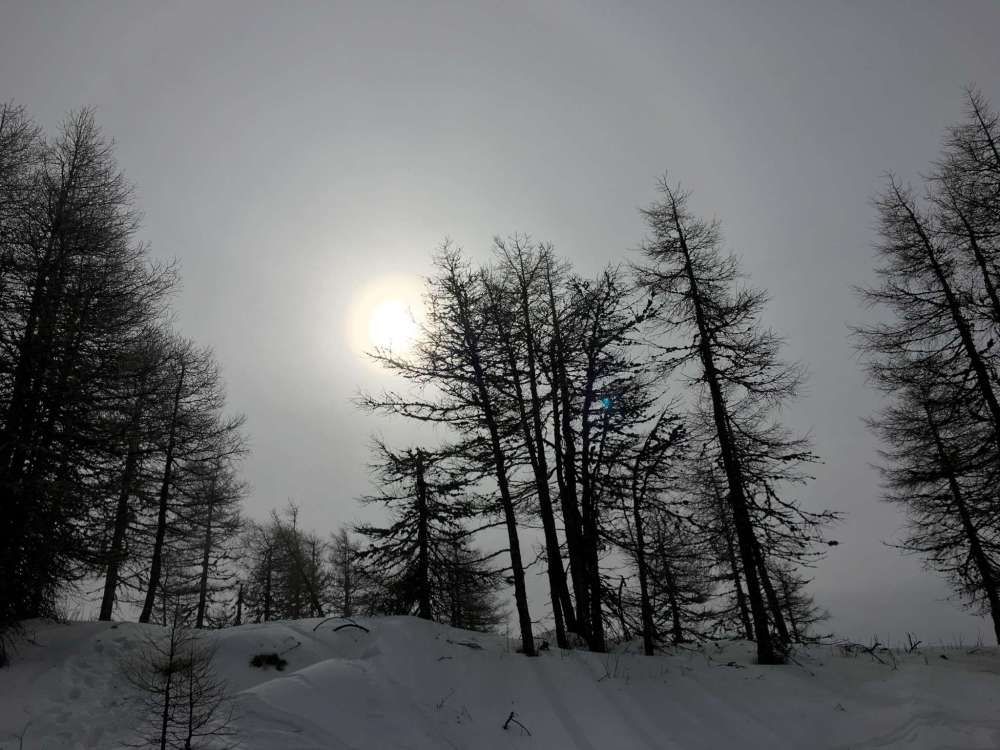 20170305_092131070_ios-2048