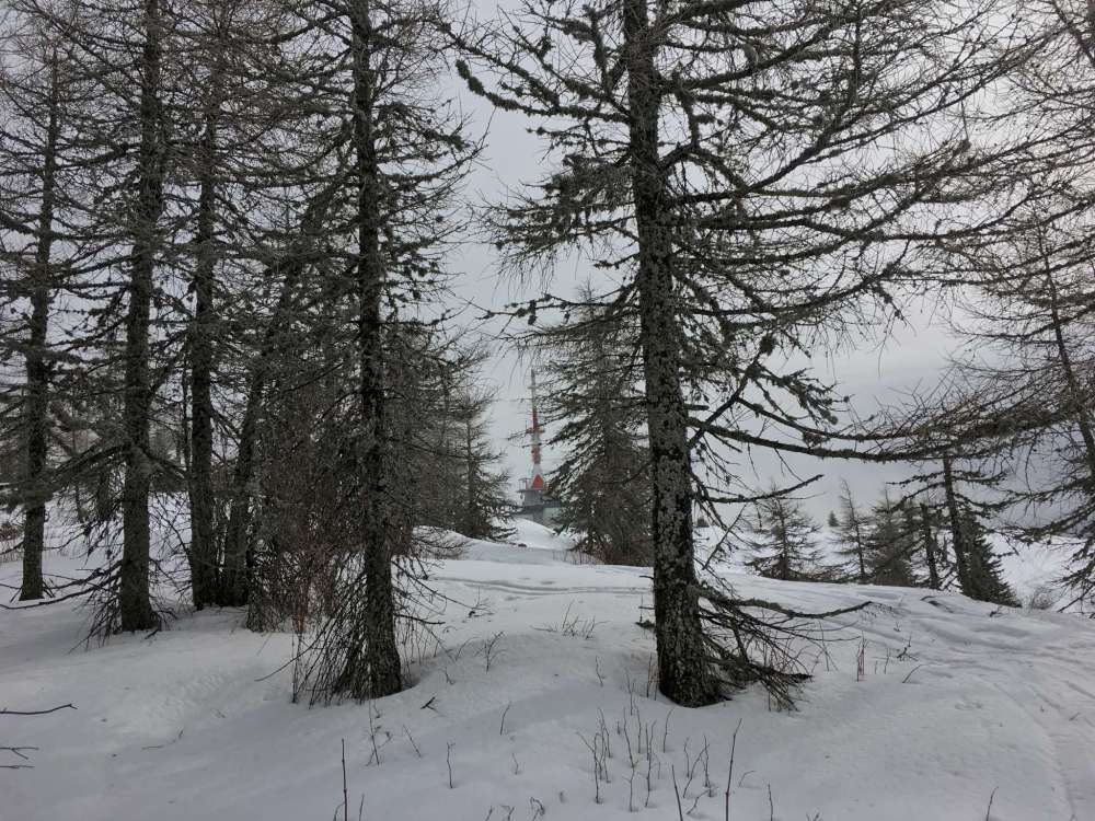 20170305_092238162_ios-2048