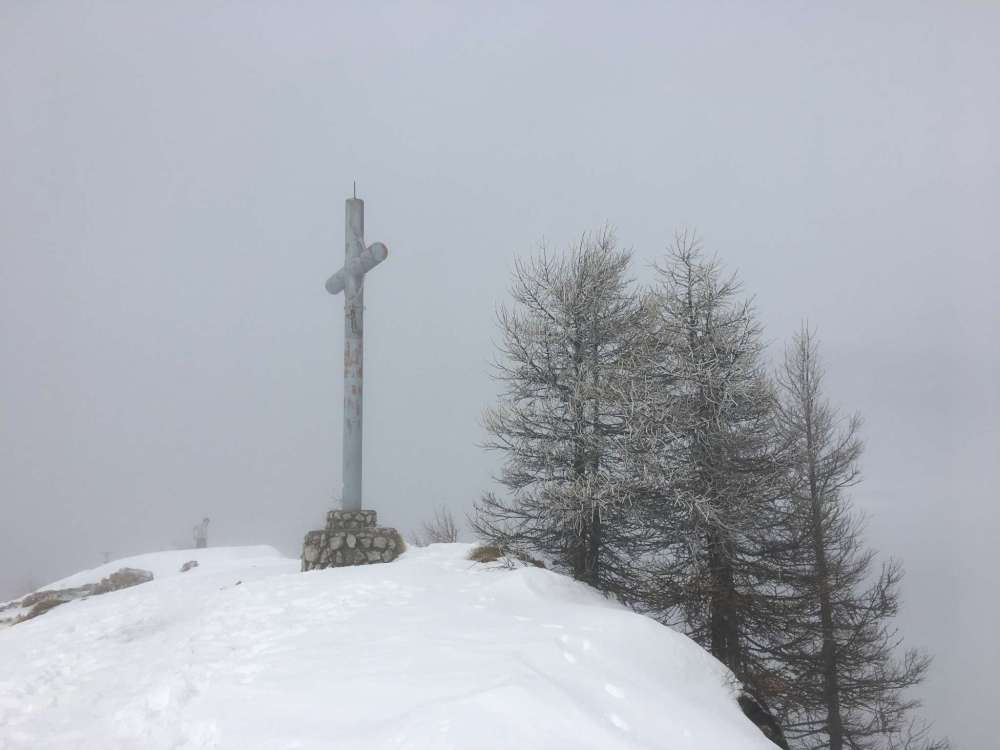 20170305_092728724_ios-2048