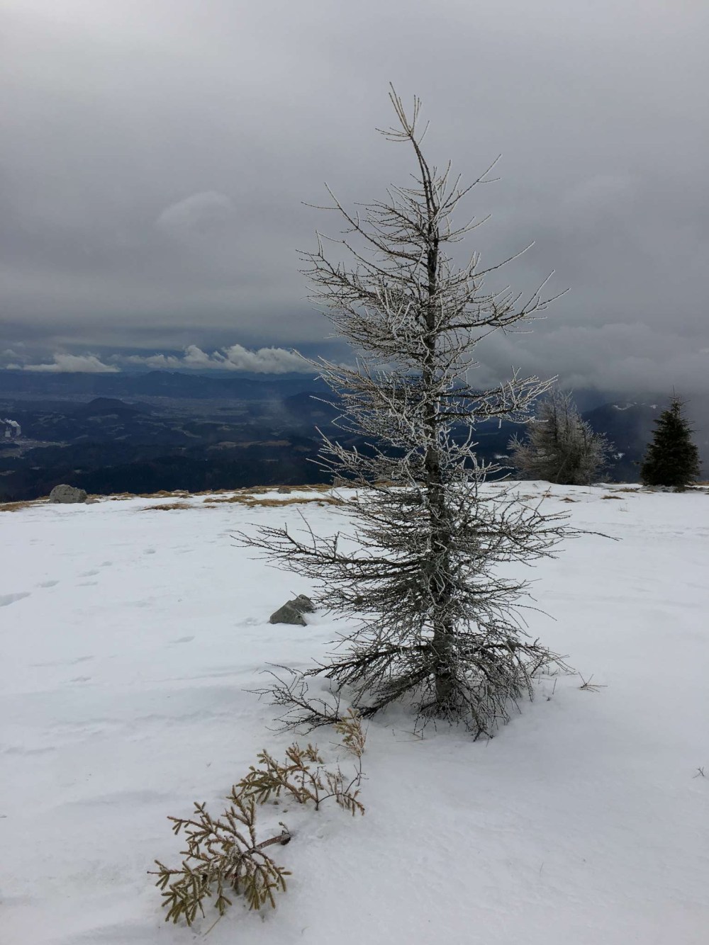 20170305_093211214_ios-2048