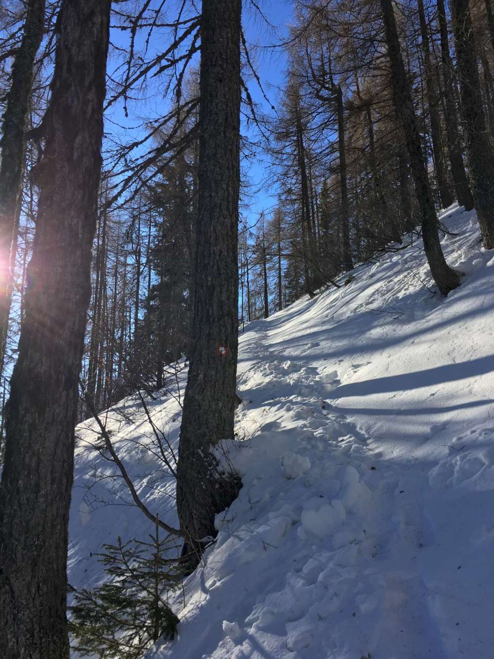 20170311_072235016_iOS-2048