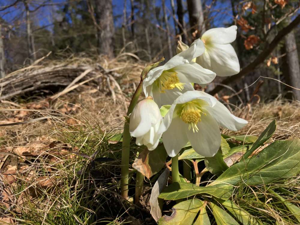 20170311_100140973_iOS-2048