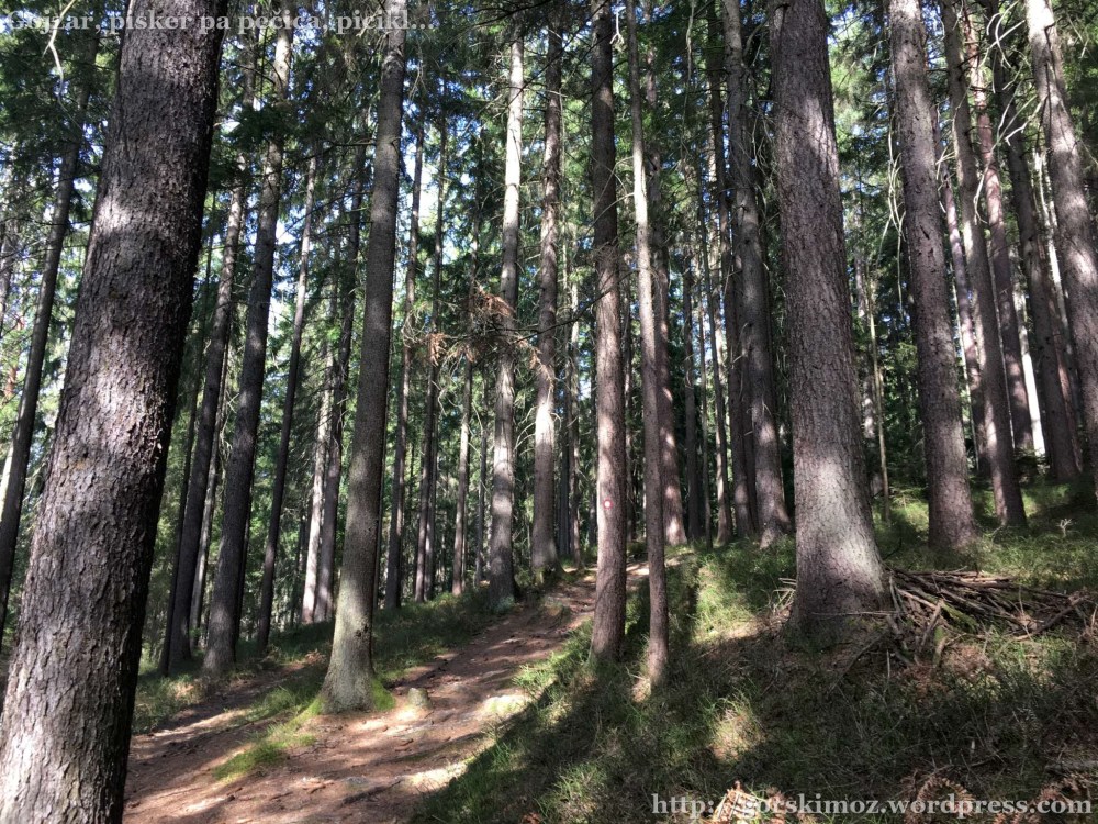 20170314_130207212_iOS-2048-oznaka