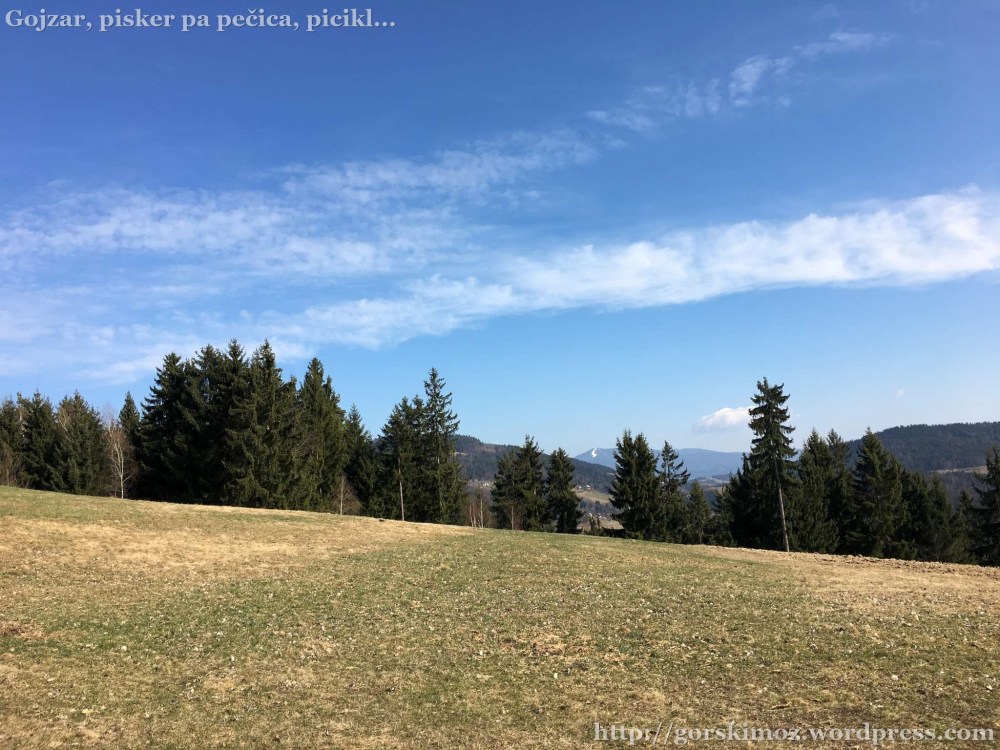 20170314_130515300_iOS-2048-oznaka