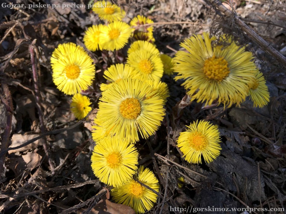 20170314_132103329_iOS-2048-oznaka