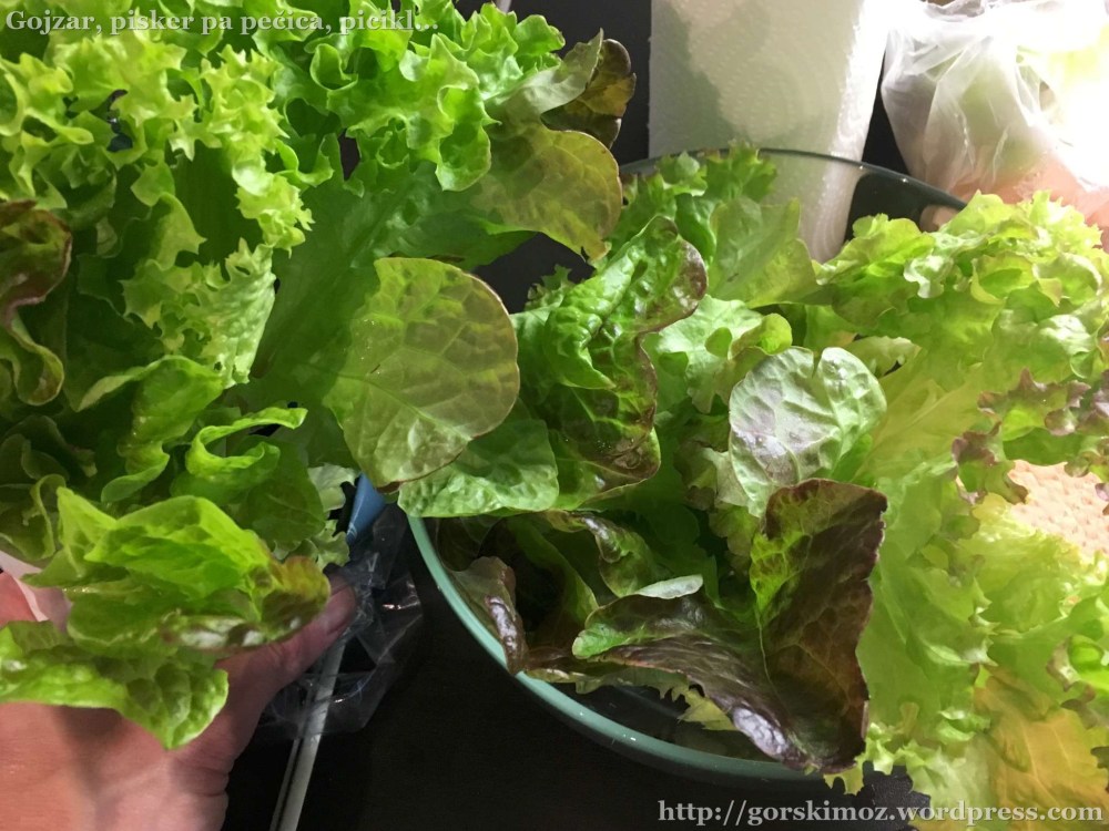 20170315_162106529_iOS-2048-oznaka