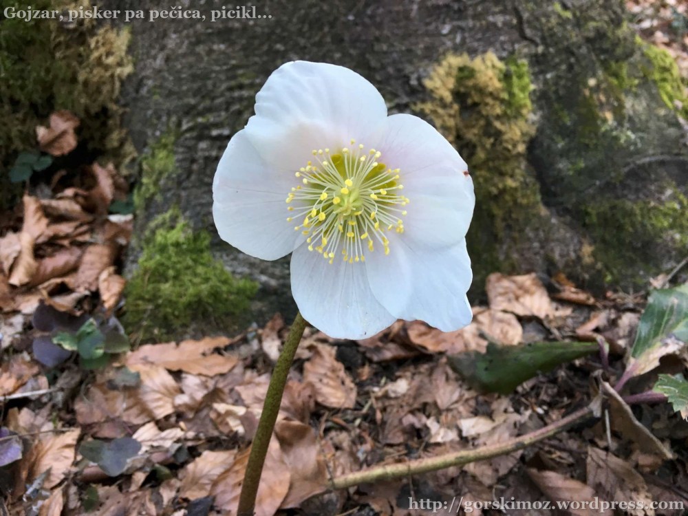 20170316_151956602_iOS-2048-oznaka