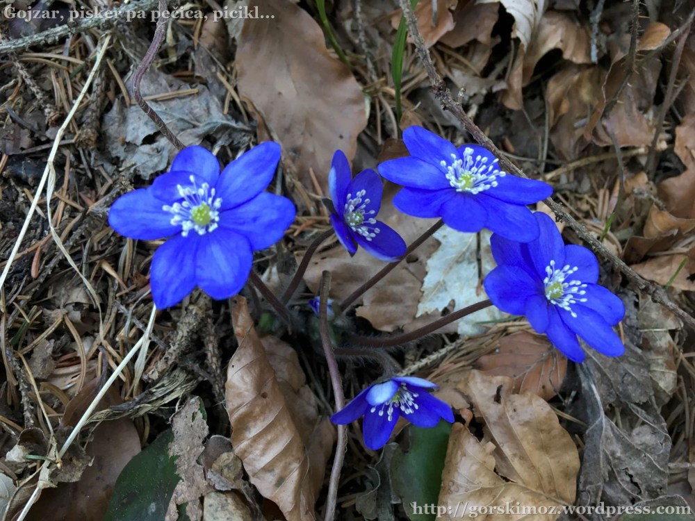 20170316_152501702_iOS-2048-oznaka