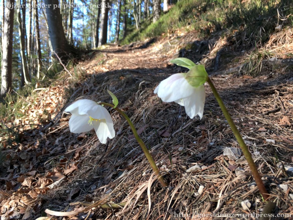 20170316_153508663_iOS-2048-oznaka