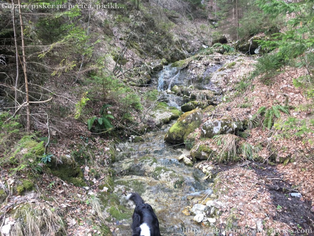 20170318_093758419_iOS-2048-oznaka