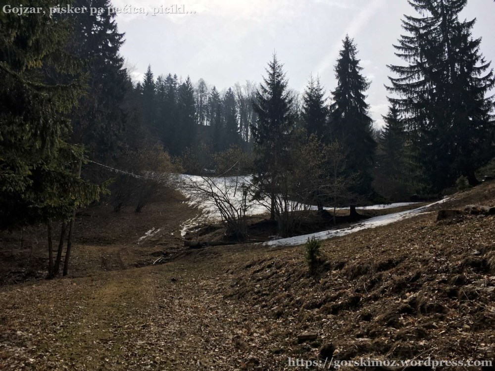 20170318_101343446_iOS-2048-oznaka