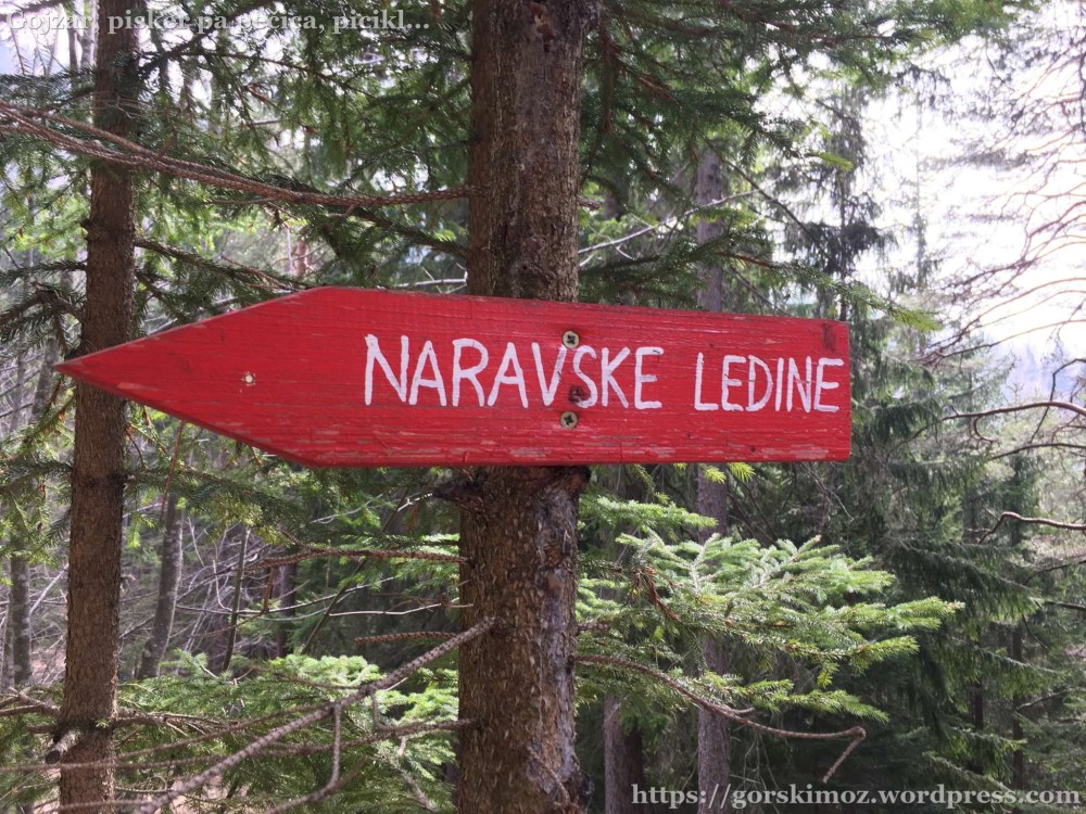 20170318_103557615_iOS-2048-oznaka