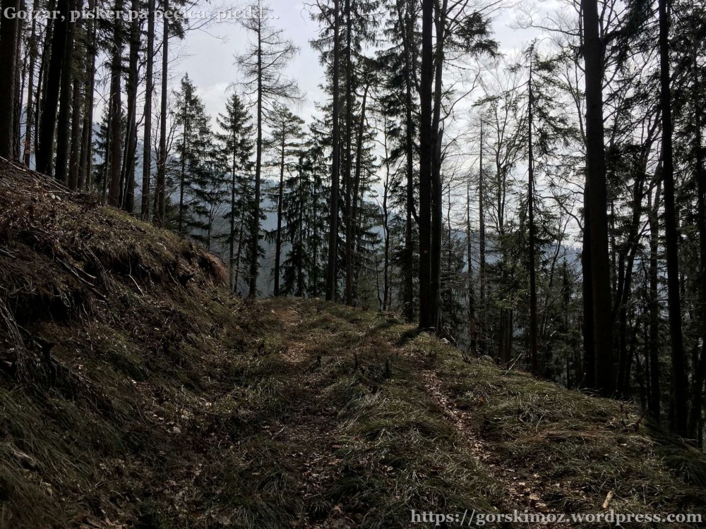 20170318_104811916_iOS-2048-oznaka