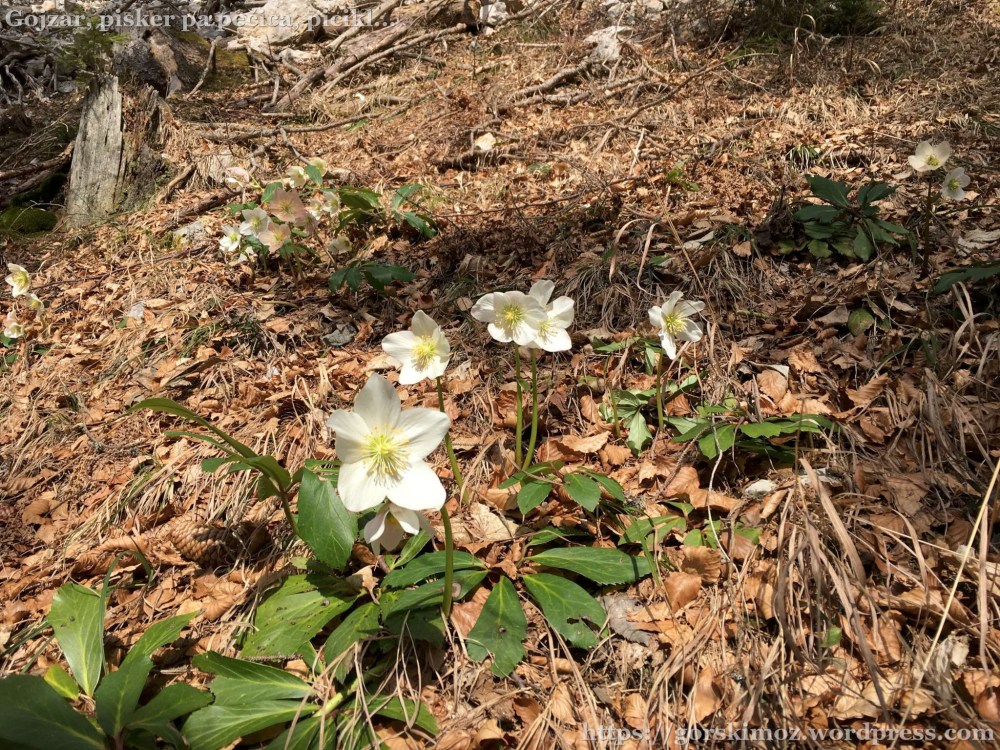 20170318_105028530_iOS-2048-oznaka