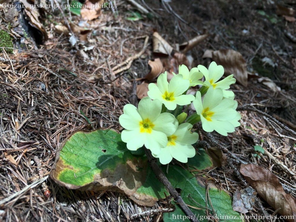 20170318_105255880_iOS-2048-oznaka